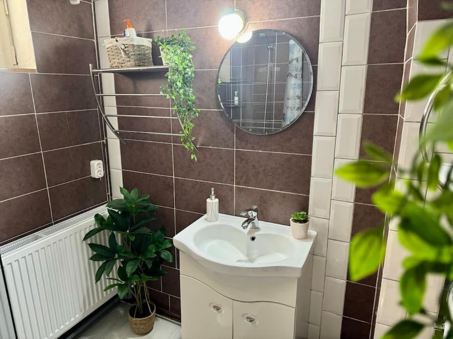 Flh - Transylvania Home Sibiu Luaran gambar